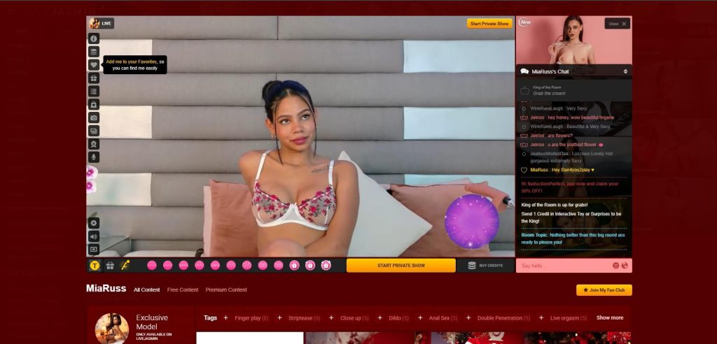 Luxurious adult cam session